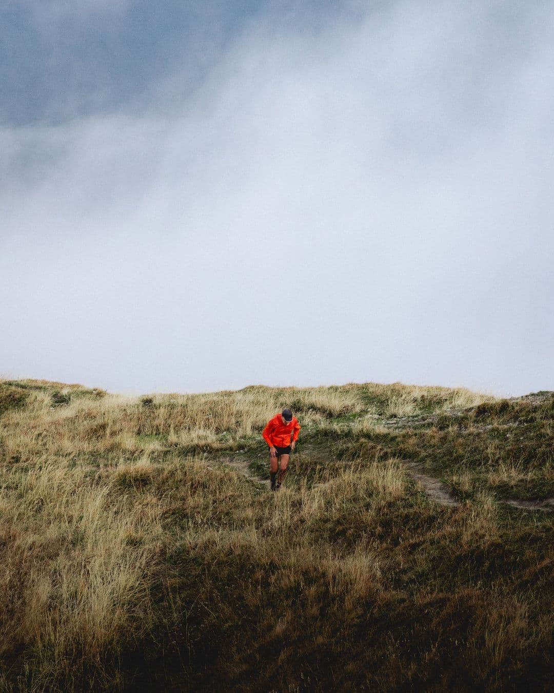 Trail. The breath calls it before the legs do.